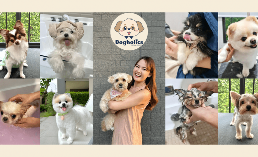 Dogholics Dog Grooming & Hotel บริการอาบน้ำตัดขนและรับฝากเลี้ยงสุนัข