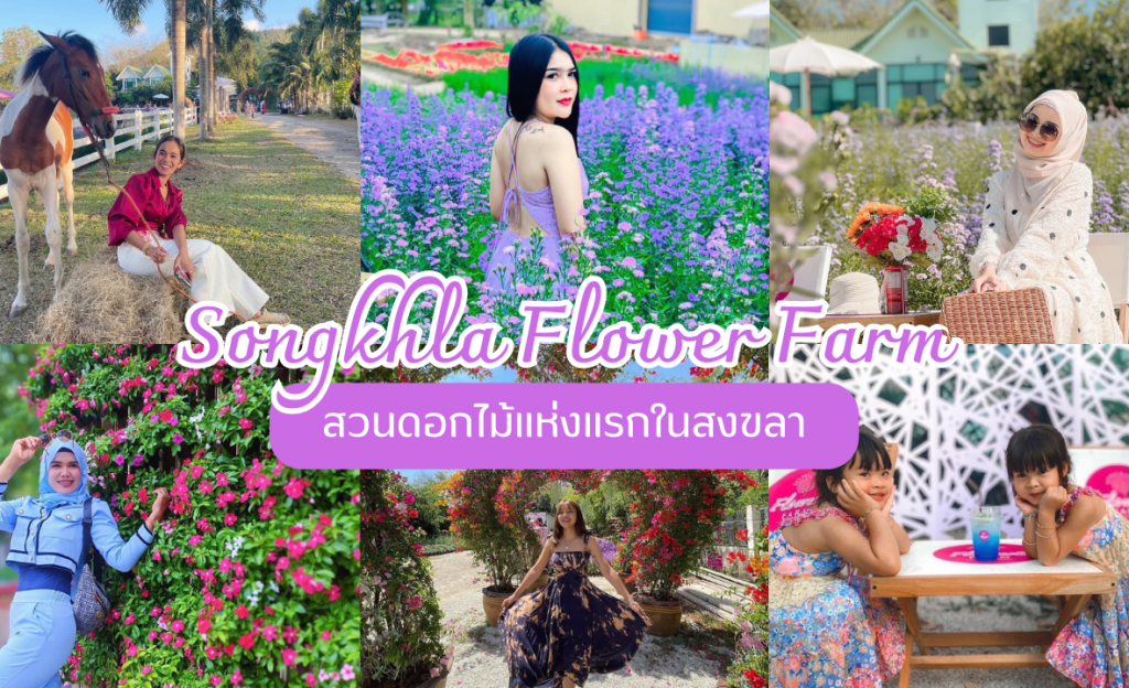 "Songkhla Flower Farm" สวนดอกไม้แห่งแรกในสงขลา แลนด์มาร์คแห่งใหม่ของ