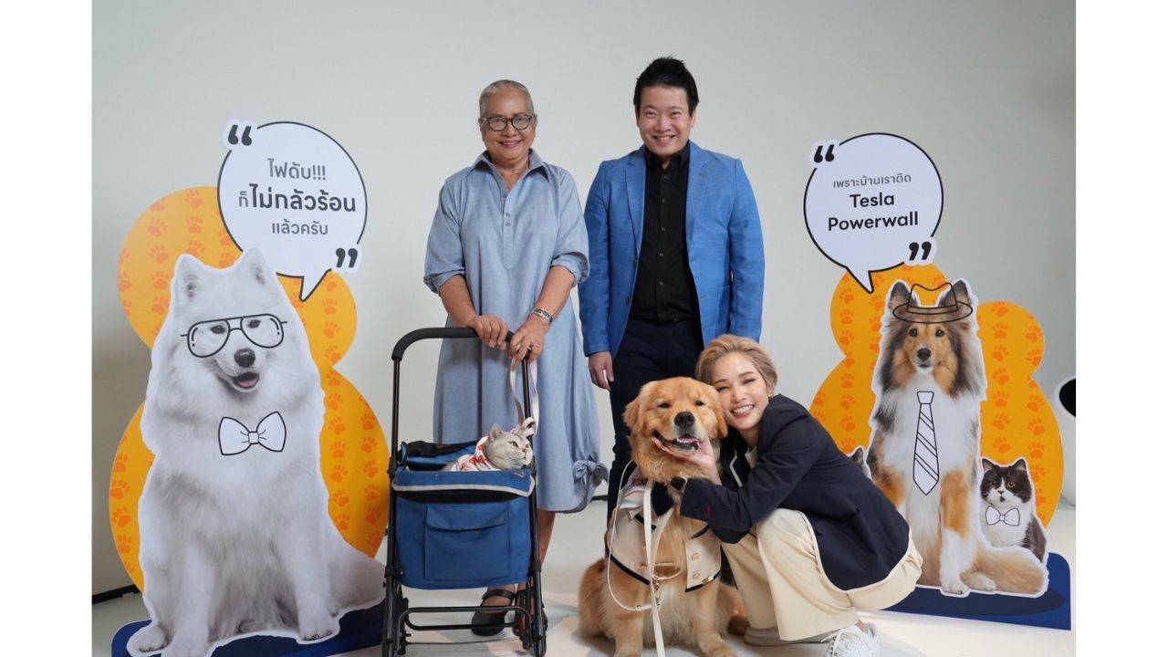 Solar D จัดงาน Pet Safe เว่อร์! ไฟไม่ดับสัตว์เลี้ยงปลอดภัย ร่วมแชร์ประสบการณ์และเปิดมุมมองความสำคัญของไฟฟ้า ผ่านเจ้าของ 2 เพจชื่อดัง