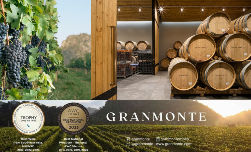 Granmonte Gradient เปิดประสบการณ์กิจกรรมท่องเที่ยวไร่องุ่นรับลมหนาว “Winter in the ...